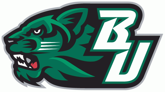 Binghamton Bearcats 2001-Pres Secondary Logo v3 iron on transfers for fabric
